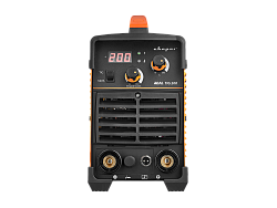 REAL TIG 200 (W223)   Китай